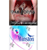 Winston Xstyle Dual Winston Xstyle Dual