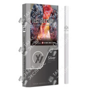 X1 Silver X1 Silver