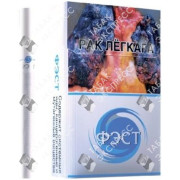 Фэст 7 Фэст 7