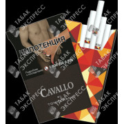 Cavallo by Tony Frank Cavallo by Tony Frank